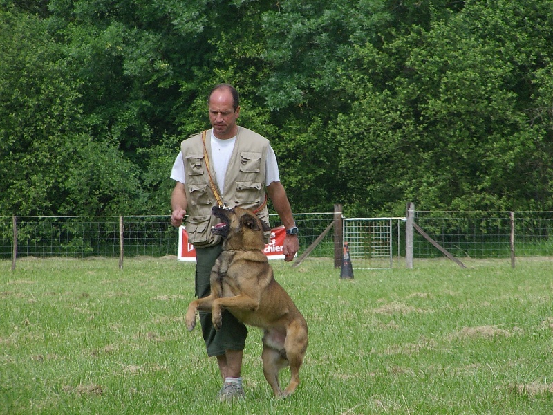 PHOTOS CHIENS NES A L'ELEVAGE...